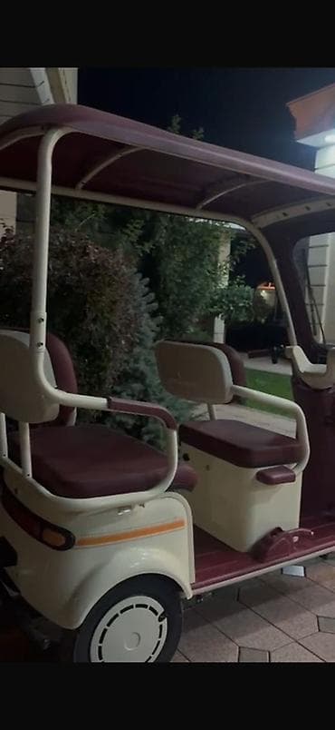 электро трёхколёсный: Электрический трёхколёсный рикша-карт для пассажирских поездок - — 5