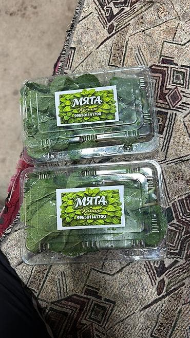 копия ключей: Мята в упаковке килограмм продаю и в коробках - Свежие пучки мяты в — 2