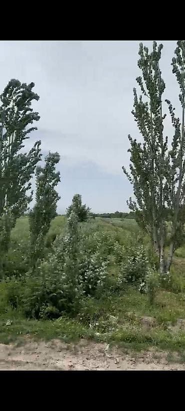 поля клубника: 1 соток, Для сельского хозяйства — 2