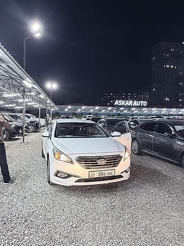 полики на хундай соната: Hyundai Sonata: 2019 г., 2 л, Автомат, Газ, Седан — 2