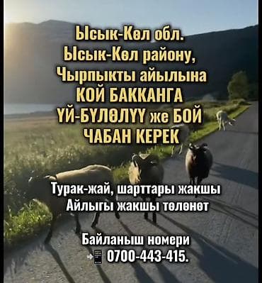пастухи: Требуется Пастух, Оплата: Сдельная — 1