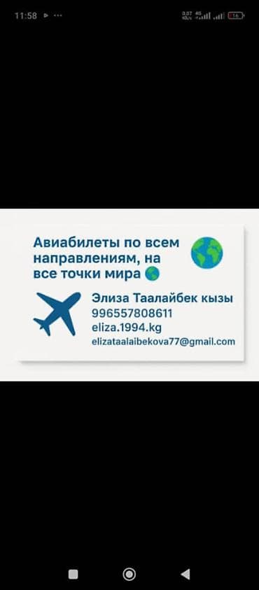 ловушка комаров: Авиабилеты по всем направлениям Онлайн-агентство путешествий — 4