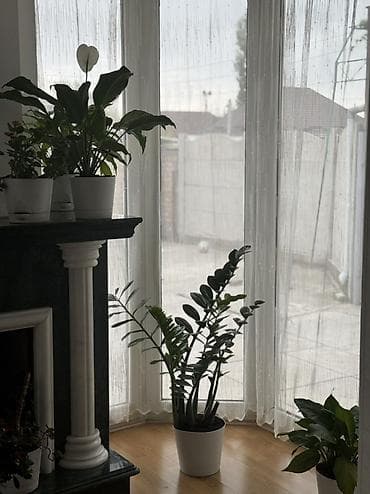 токмок лайф: Продаётся благоустроенный дом в центре Беловодского, тихая тупиковая — 9