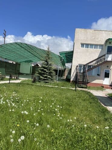 пансионаты иссык куль 2024 цены: Номер, Чолпон-Ата, Бильярд, Унаа токтотуучу жай, унаа туруучу жай — 2