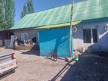 иссык ата домики: Дом с большим двором и хозяйственными постройками - Один этаж, кровля — 1