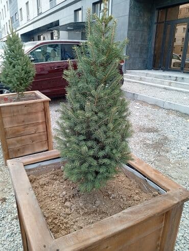 купить шланг для капельного полива: Кашпо или вазоны для цветов растений. принимаем заказы.60*60 — 7