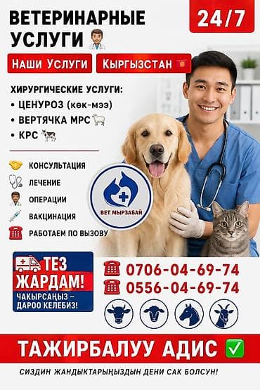 Башка кызматтар