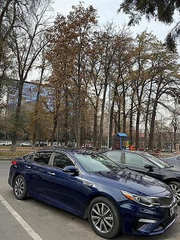 suzuki ignus: Kia Optima: 2019 г., 2.4 л, Автомат, Бензин, Седан — 3