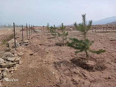 1 соток, Для бизнеса, Красная книга, Договор купли-продажи