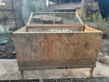 Циплятник 
Бродер 
Жалал-Абад 
Пугачева 27