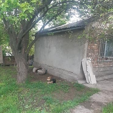 верхний токолдош: Продается дача в ТС Бек тоо — 10