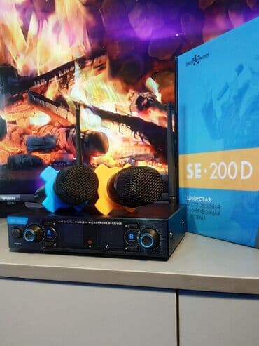 акустические системы bang amp: Микрофонная беспроводная система Studio-Evolution SE • 200D. Эта — 2