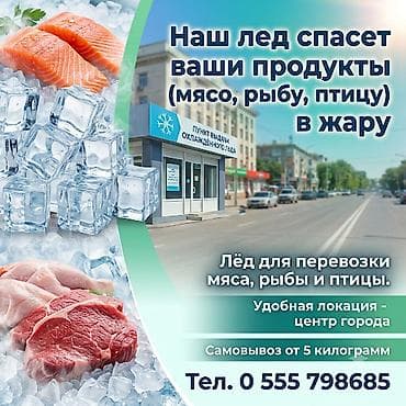 ледо: ЛЁД ДЛЯ ПЕРЕВОЗКИ ПРОДУКТОВ — 1