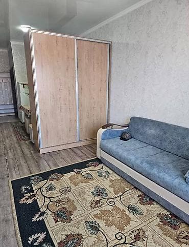 Студия, Риэлтор, Без подселения, С мебелью частично