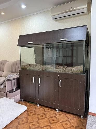 малек форели бишкек: Аквариумный комплект с тумбой и крышкой, только самовывоз. 
объем 500л — 2