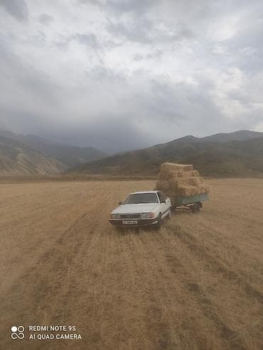 Audi: Audi 100: 1986 г., 2.5 л, Механика, Дизель, Седан — 3