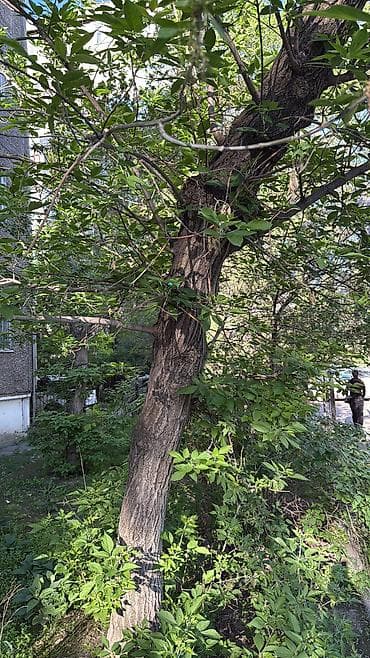 3 комнаты, Собственник, Без подселения, С мебелью частично