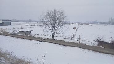 участка сатылат: 200 соток, Айыл чарба үчүн — 4