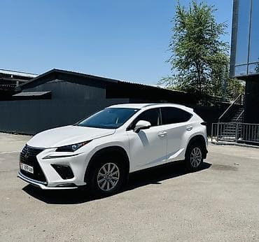 спойлер хонда акорд: Lexus NX: 2020 г., 2 л, Автомат, Бензин, Кроссовер — 3