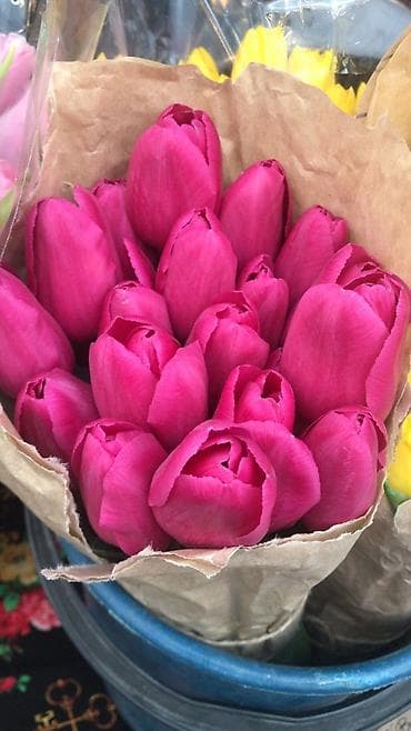 Личные вещи: Оптом продаем тюльпаны в любом количестве!!!! — 2