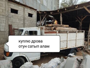 купить рассаду помидор в бишкеке: Дрова — 1