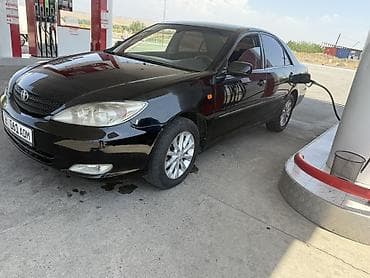 small car: Toyota Camry: 2002 г., 2.4 л, Автомат, Бензин, Седан — 3