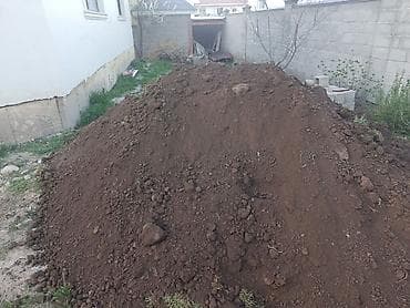 дрова токмок: В тоннах, Бесплатная доставка, Зил — 1