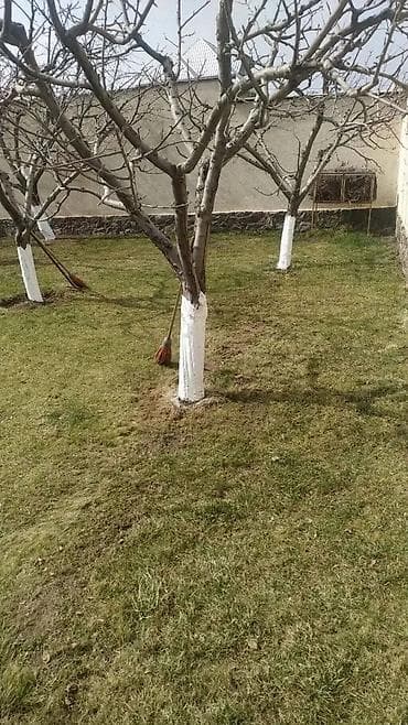 капаем огород: Уборка территории, Уборка двора и сада — 6