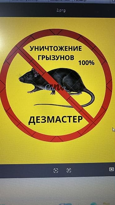 крематорий для животных бишкек: ДезМастер — профессиональная дезинсекция и дератизация без запаха — 2