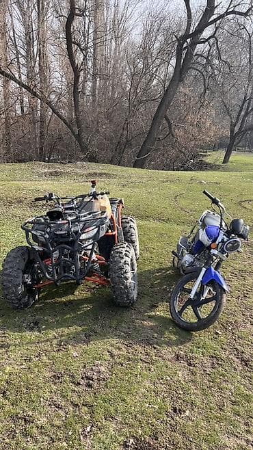 скуто: Квадроцикл Бензин, 180 куб. см, Взрослый — 1