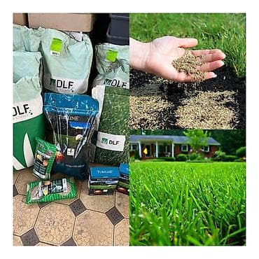 Газонные травосмеси DLF (Seeds &amp; Science) - Профессиональные