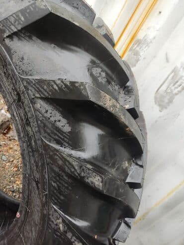 шины на фронтальный погрузчик: Шины <130 / R 30, Новый, 1 шт, С/х техника, Сербия — 3