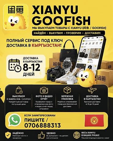 ayar group: Услуга: выкуп товаров с платформы Xianyu с доставкой в Кыргызстан Что — 1