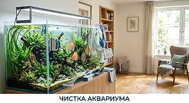 аквариум jebo: Обслуживание и чистка аквариума! Решаю проблему грязного аквариума: от — 1