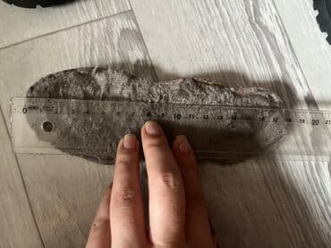 детский мир бишкек фото: Продам сапожки, брали в обувайке, кожа Темно-синий цвет немного с — 4