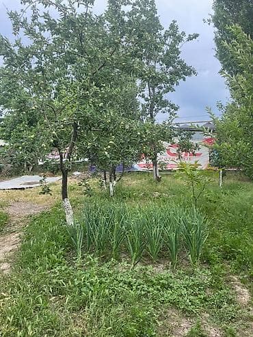18: Продаётся земельный участок с жилыми постройками и зелёным садом. Что — 6