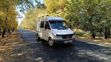 rex sprinter: Бус на заказ Бишкек 
Бус на заказ Бишкек — 1