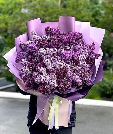 талгарка груша: СРОЧНА КУПИМ СИРЕНИ И БУКЕТ СИРЕНОВ, "ЗВОНИТЕ "" — 3