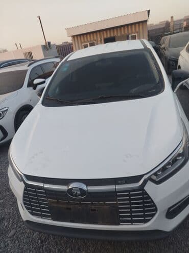 BYD : 2019 г., 1 л, Автомат, Электромобиль, Кроссовер
