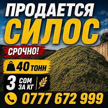 Силос на продажу. - Объем: 40 тонн - Цена: 3 сома за кг - Срочно