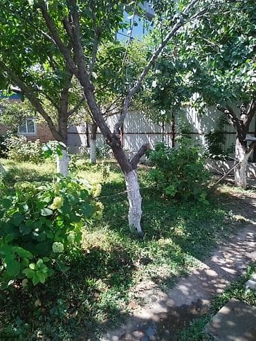 времянка купить: Квартира берилет!!! 🏡 БЕЗ ХОЗЯИНА! Короо тозулган, соонун огород — 6
