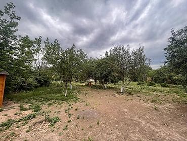 продажа домов воронцовка: Продам дом с участком 20 соток + помещение под магазин + складское — 4