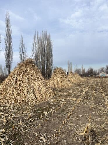 дом из контейнера бишкек фото: Продается бакал 
Место положения Ысык атаский районэпкин — 2