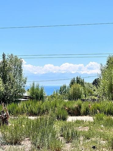 6 соток, Для строительства, Красная книга, Договор купли-продажи — 2