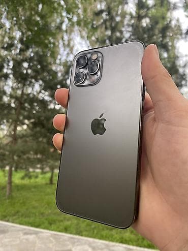 ipone 9: IPhone 12 Pro, Б/у, 256 ГБ, Графит, Чехол, Коробка, 81 % — 1