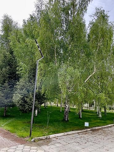 2 х комнатные: 2 комнаты, 33 м², Элитка, 2 этаж, Дизайнерский ремонт — 10