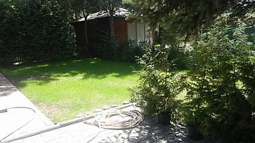 Коттедж, ЦО РАДУГА ЦО Радуга, Сары-Ой, Детская площадка, Парковка, стоянка, Охраняемая территория at lalafo.kg Коттедж, ЦО РАДУГА ЦО Радуга, Сары-Ой, Детская площадка, Парковка, стоянка, Охраняемая территория