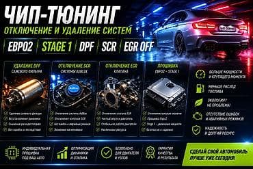 tab 5: Профессиональное удаление и отключение: - DPF (сажевый фильтр) - — 1