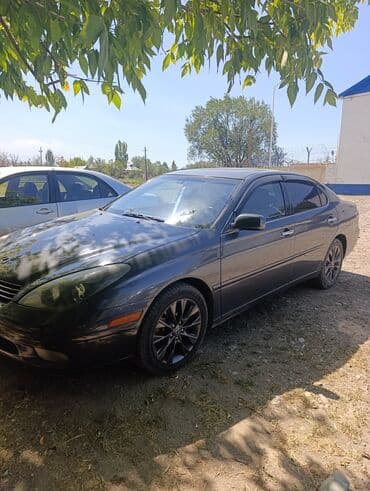 Lexus ES: 2004 г., 3.3 л, Автомат, Газ, Седан