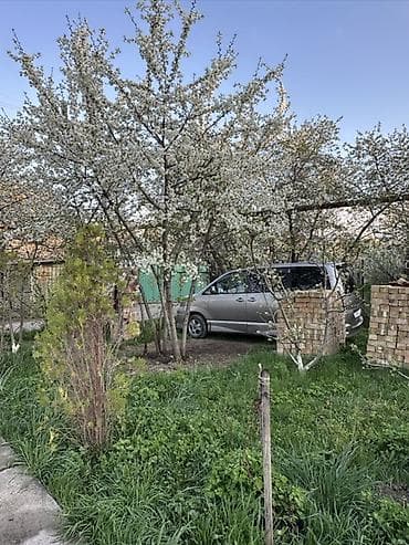 село бает: 5 соток, Для сельского хозяйства — 3